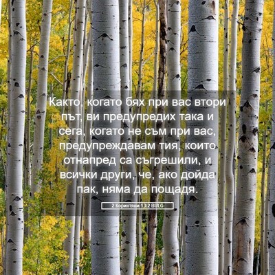 Picture 05 - 2 Коринтяни 13:2 BULG - Както, когато бях при вас - Bible Verse Picture
