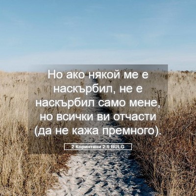 Picture 05 - 2 Коринтяни 2:5 BULG - Но ако някой ме е - Bible Verse Picture