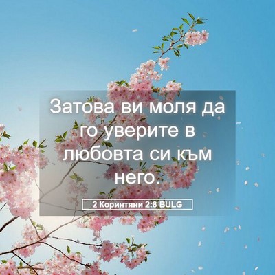 Picture 05 - 2 Коринтяни 2:8 BULG - Затова ви моля да го - Bible Verse Picture