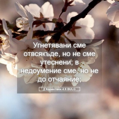 Picture 05 - 2 Коринтяни 4:8 BULG - Угнетявани сме отвсякъде, - Bible Verse Picture