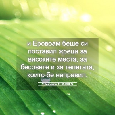 Picture 05 - 2 Летописи 11:15 BULG - и Еровоам беше си поставил - Bible Verse Picture