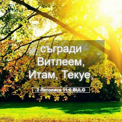 Picture 05 - 2 Летописи 11:6 BULG - съгради Витлеем, Итам, - Bible Verse Picture