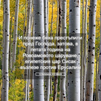 Picture 05 - 2 Летописи 12:2 BULG - И понеже бяха престъпили - Bible Verse Picture