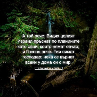 Picture 05 - 2 Летописи 18:16 BULG - А той рече: Видях целият - Bible Verse Picture