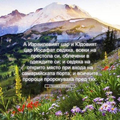 Picture 05 - 2 Летописи 18:9 BULG - А Израилевият цар и - Bible Verse Picture