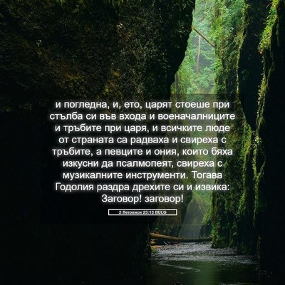 Picture 05 - 2 Летописи 23:13 BULG - и погледна, и, ето, царят - Bible Verse Picture