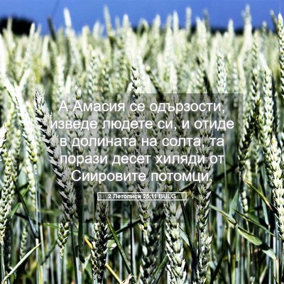 Picture 05 - 2 Летописи 25:11 BULG - А Амасия се одързости, - Bible Verse Picture