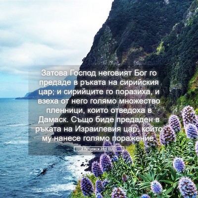 Picture 05 - 2 Летописи 28:5 BULG - Затова Господ неговият Бог - Bible Verse Picture