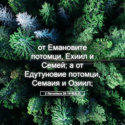 Picture 05 - 2 Летописи 29:14 BULG - от Емановите потомци, - Bible Verse Picture