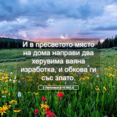 Picture 05 - 2 Летописи 3:10 BULG - И в пресветото място на - Bible Verse Picture