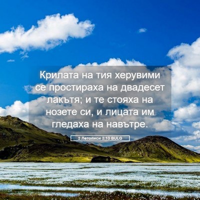 Picture 05 - 2 Летописи 3:13 BULG - Крилата на тия херувими се - Bible Verse Picture