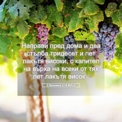 Picture 05 - 2 Летописи 3:15 BULG - Направи пред дома и два - Bible Verse Picture