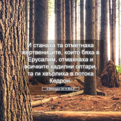 Picture 05 - 2 Летописи 30:14 BULG - И станаха та отметнаха - Bible Verse Picture