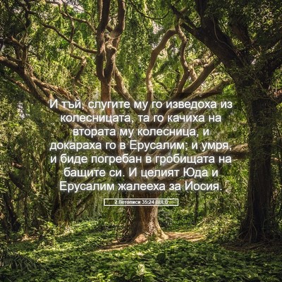 Picture 05 - 2 Летописи 35:24 BULG - И тъй, слугите му го - Bible Verse Picture