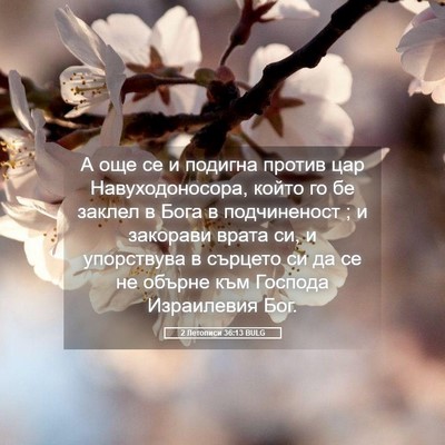 Picture 05 - 2 Летописи 36:13 BULG - А още се и подигна против - Bible Verse Picture