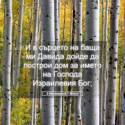 Picture 05 - 2 Летописи 6:7 BULG - И в сърцето на баща ми - Bible Verse Picture