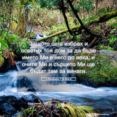 Picture 05 - 2 Летописи 7:16 BULG - Защото сега избрах и - Bible Verse Picture