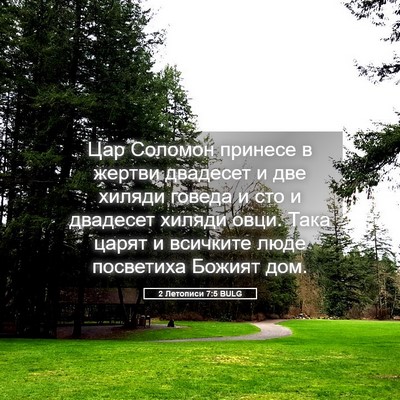 Picture 05 - 2 Летописи 7:5 BULG - Цар Соломон принесе в - Bible Verse Picture