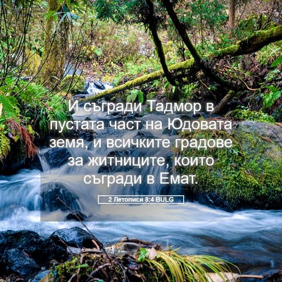 Picture 05 - 2 Летописи 8:4 BULG - И съгради Тадмор в пустата - Bible Verse Picture