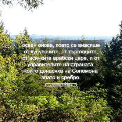 Picture 05 - 2 Летописи 9:14 BULG - освен онова, което се - Bible Verse Picture