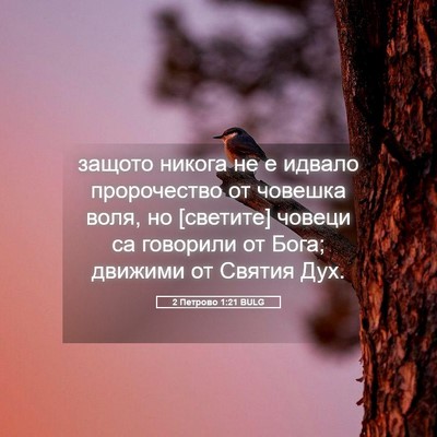Picture 05 - 2 Петрово 1:21 BULG - защото никога не е идвало - Bible Verse Picture