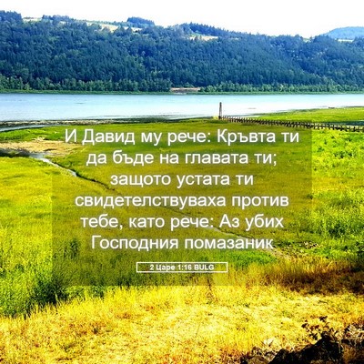 Picture 05 - 2 Царе 1:16 BULG - И Давид му рече: Кръвта ти - Bible Verse Picture
