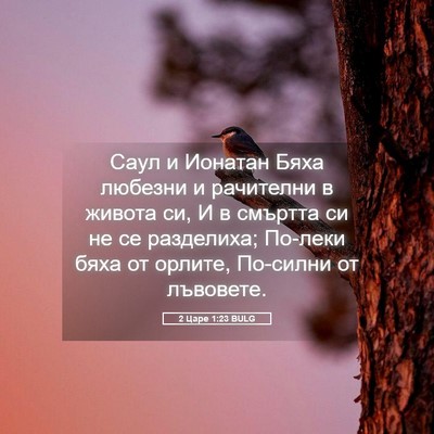 Picture 05 - 2 Царе 1:23 BULG - Саул и Ионатан Бяха - Bible Verse Picture