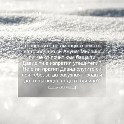 Picture 05 - 2 Царе 10:3 BULG - първенците на амонците - Bible Verse Picture