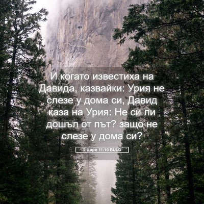 Picture 05 - 2 Царе 11:10 BULG - И когато известиха на - Bible Verse Picture