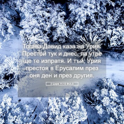 Picture 05 - 2 Царе 11:12 BULG - Тогава Давид каза на Урия: - Bible Verse Picture