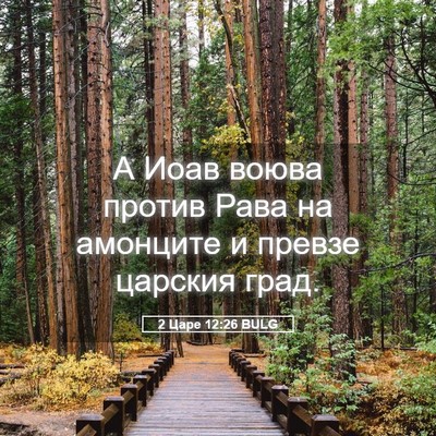 Picture 05 - 2 Царе 12:26 BULG - А Иоав воюва против Рава на - Bible Verse Picture