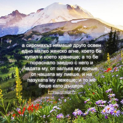 Picture 05 - 2 Царе 12:3 BULG - а сиромахът нямаше друго - Bible Verse Picture