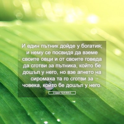 Picture 05 - 2 Царе 12:4 BULG - И един пътник дойде у - Bible Verse Picture