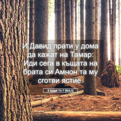 Picture 05 - 2 Царе 13:7 BULG - И Давид прати у дома да - Bible Verse Picture