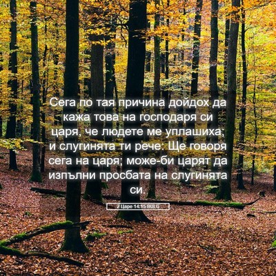 Picture 05 - 2 Царе 14:15 BULG - Сега по тая причина дойдох - Bible Verse Picture