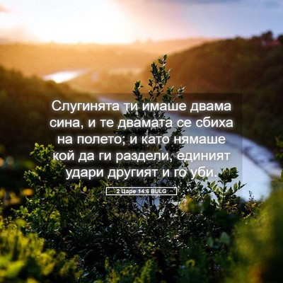 Picture 05 - 2 Царе 14:6 BULG - Слугинята ти имаше двама - Bible Verse Picture