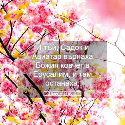 Picture 05 - 2 Царе 15:29 BULG - И тъй, Садок и Авиатар - Bible Verse Picture