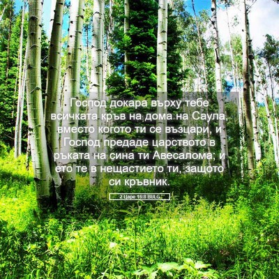 Picture 05 - 2 Царе 16:8 BULG - Господ докара върху тебе - Bible Verse Picture