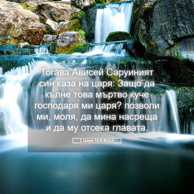 Picture 05 - 2 Царе 16:9 BULG - Тогава Ависей Саруиният - Bible Verse Picture