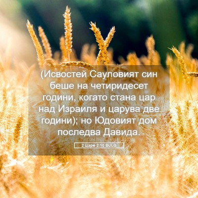 Picture 05 - 2 Царе 2:10 BULG - (Исвостей Сауловият син - Bible Verse Picture