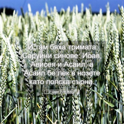 Picture 05 - 2 Царе 2:18 BULG - И там бяха тримата Саруини - Bible Verse Picture
