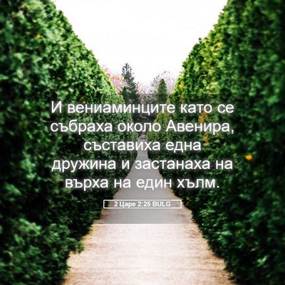 Picture 05 - 2 Царе 2:25 BULG - И вениаминците като се - Bible Verse Picture
