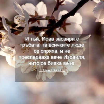 Picture 05 - 2 Царе 2:28 BULG - И тъй, Иоав засвири с - Bible Verse Picture