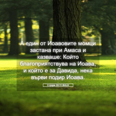 Picture 05 - 2 Царе 20:11 BULG - А един от Иоавовите момци - Bible Verse Picture