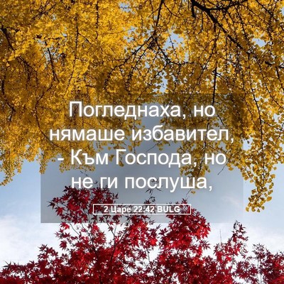 Picture 05 - 2 Царе 22:42 BULG - Погледнаха, но нямаше - Bible Verse Picture