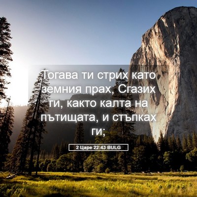 Picture 05 - 2 Царе 22:43 BULG - Тогава ти стрих като - Bible Verse Picture