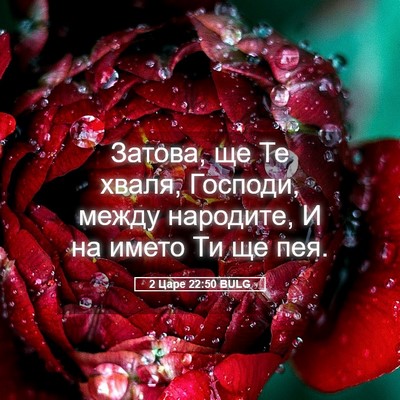 Picture 05 - 2 Царе 22:50 BULG - Затова, ще Те хваля, - Bible Verse Picture