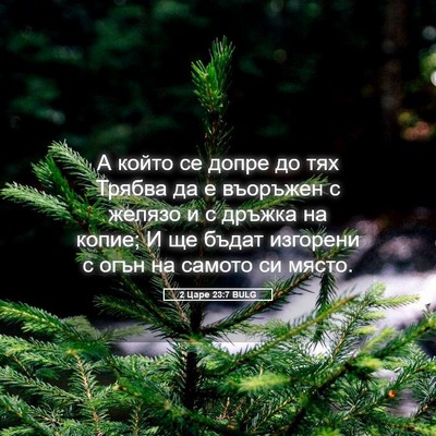 Picture 05 - 2 Царе 23:7 BULG - А който се допре до тях - Bible Verse Picture
