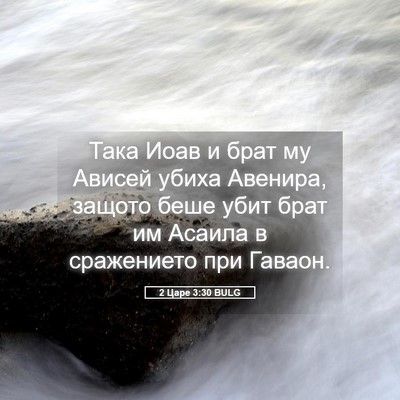 Picture 05 - 2 Царе 3:30 BULG - Така Иоав и брат му Ависей - Bible Verse Picture