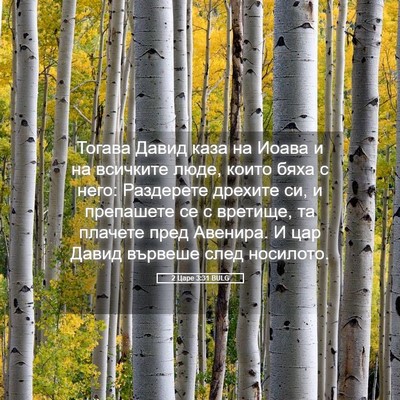 Picture 05 - 2 Царе 3:31 BULG - Тогава Давид каза на Иоава - Bible Verse Picture